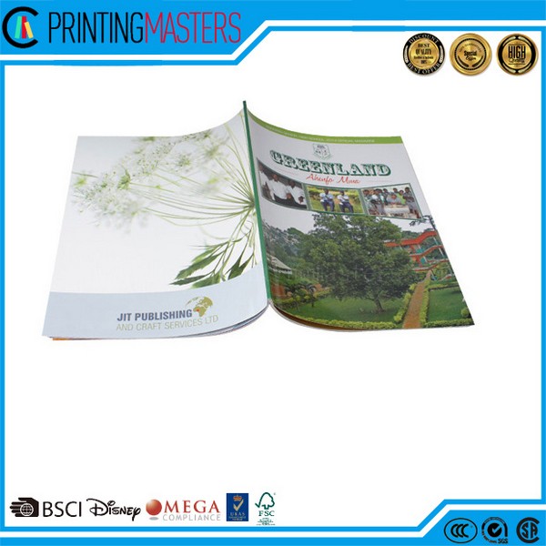 Customized High Quality Saddle Stitch Brochure Printing