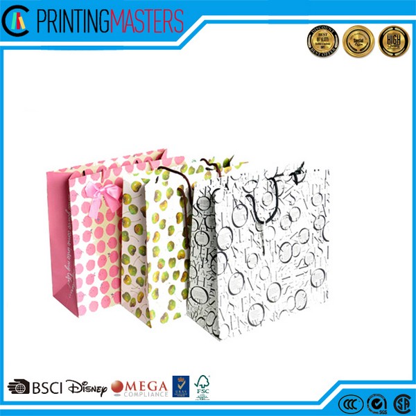 2017 Fashionable Shopping Paper Bag 