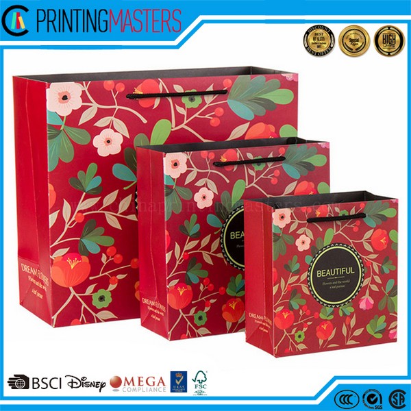 2017 ShinRong Printing Factory Newest Design Kraft Paper Bags 