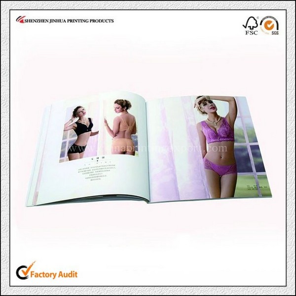 Customized Professional High Quality Printing Pamphlet